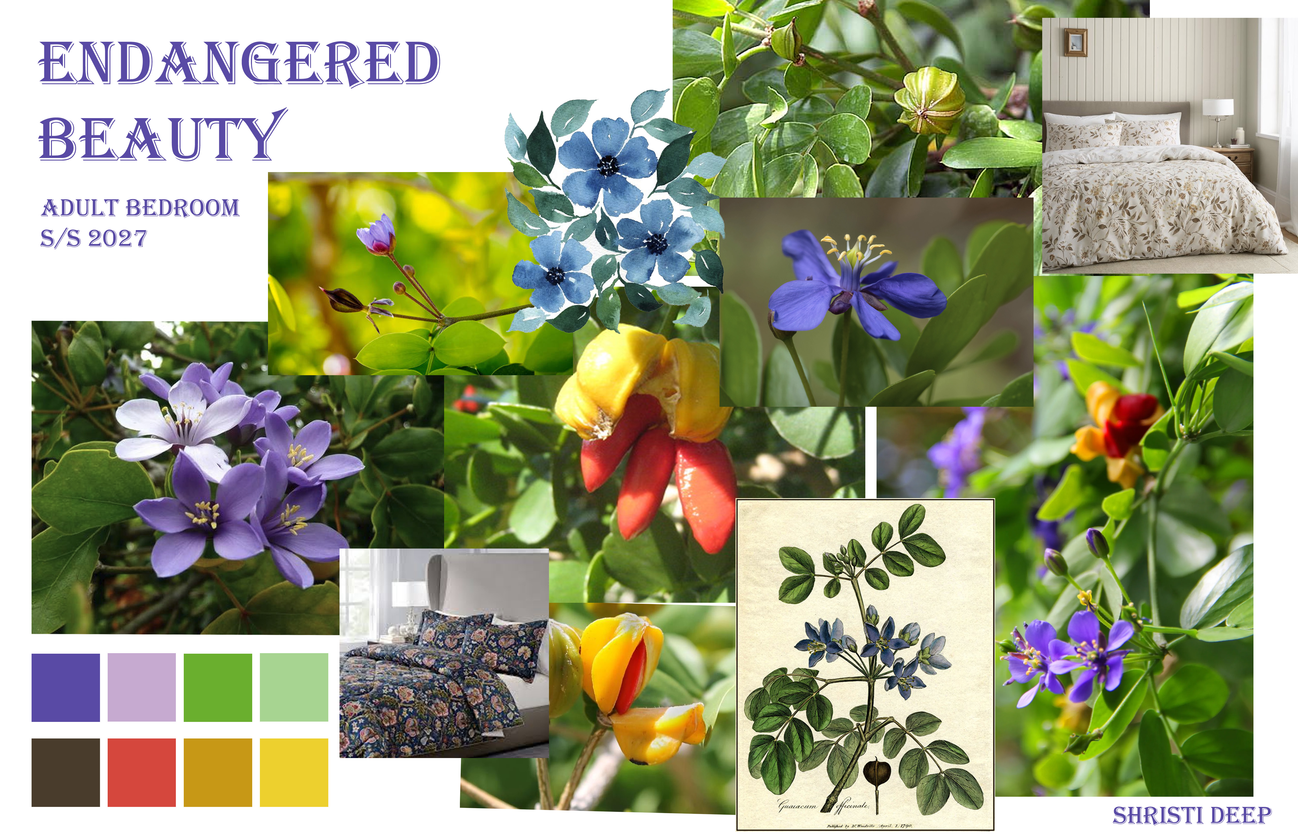 Endangered Beauty Moodboard